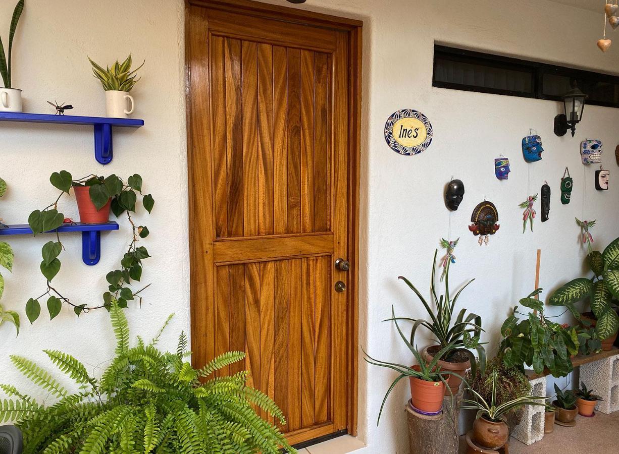 Zandoyo Bed & Breakfast Puerto Escondido  Bagian luar foto